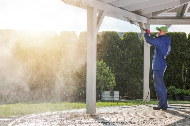 Best Pre-Holiday Cleaning  in Crestline, CA