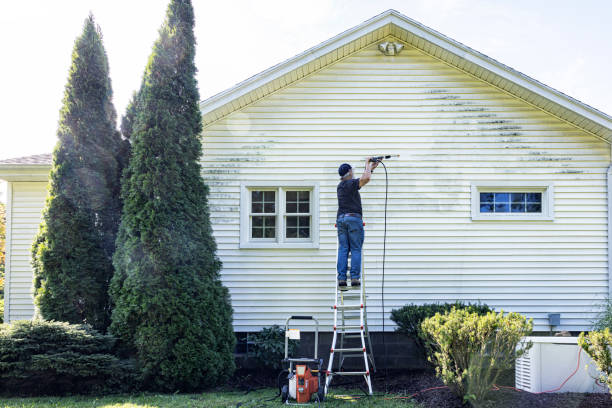 Best Gutter Cleaning  in Crestline, CA